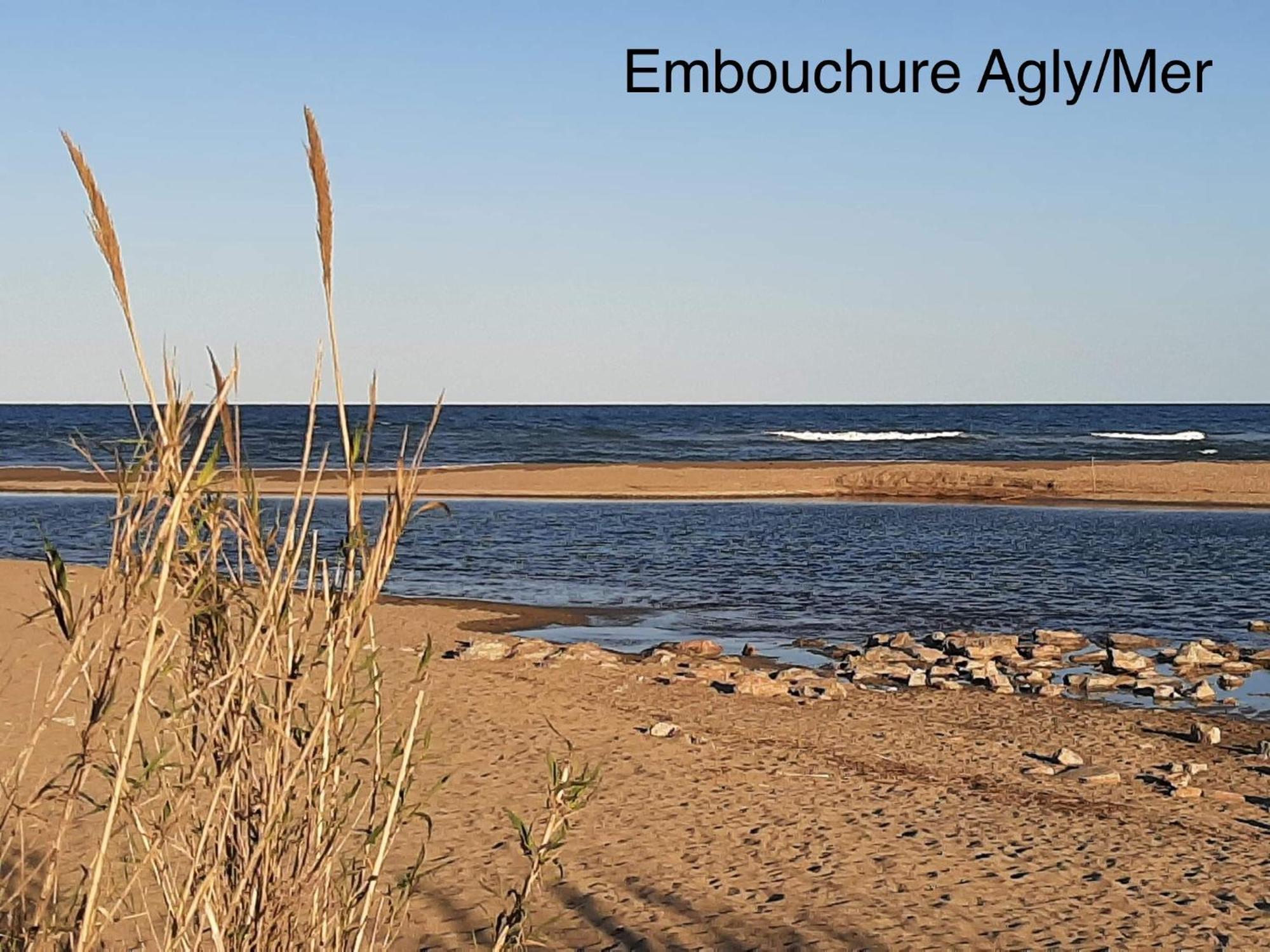 Logement Entier, Calme, Hyper Equipe Saint-Laurent-de-la-Salanque Esterno foto